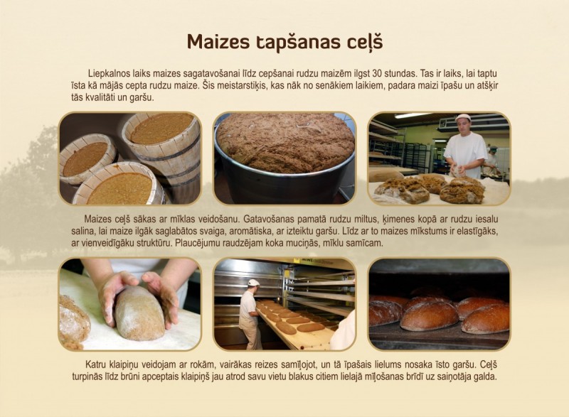 Maizes tapsana